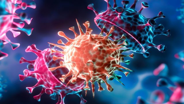 افزایش نگرانی‌ها از شیوع آبله میمونی ترکیه آماده مقابله با بحران احتمالی