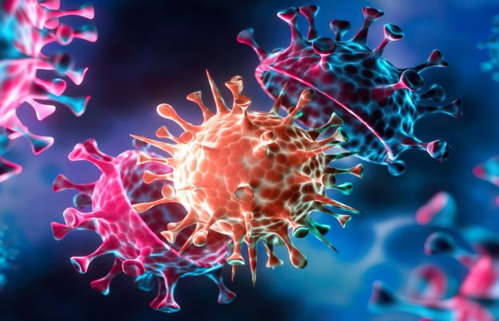 افزایش نگرانی‌ها از شیوع آبله میمونی ترکیه آماده مقابله با بحران احتمالی