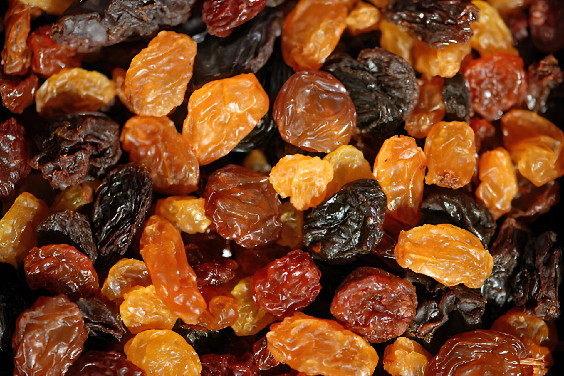 صادرات خشکبار