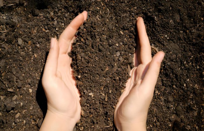 صادرات کود ایران راهی به سوی بازارهای جهانی با کیفیت برتر