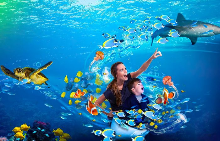 آکواریوم سی لایف استانبول دنیایی شگفت انگیز زیر آب