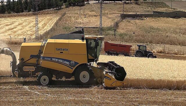 ۲.۵ میلیارد دلار صادرات غلات حبوبات و دانه‌های روغنی از آناتولی در ۹ ماه