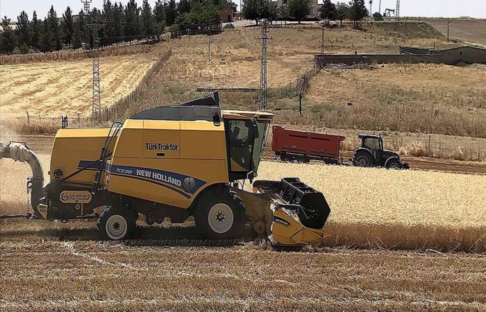 ۲.۵ میلیارد دلار صادرات غلات حبوبات و دانه‌های روغنی از آناتولی در ۹ ماه