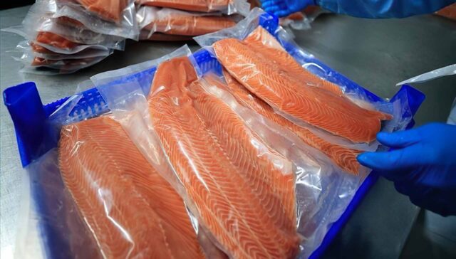 رشد صادرات  سالمون ترکیه 351 میلیون دلار در 9 ماه