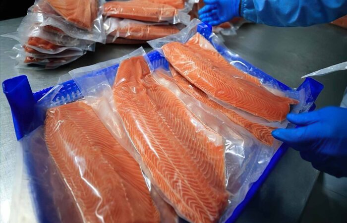 رشد صادرات  سالمون ترکیه 351 میلیون دلار در 9 ماه