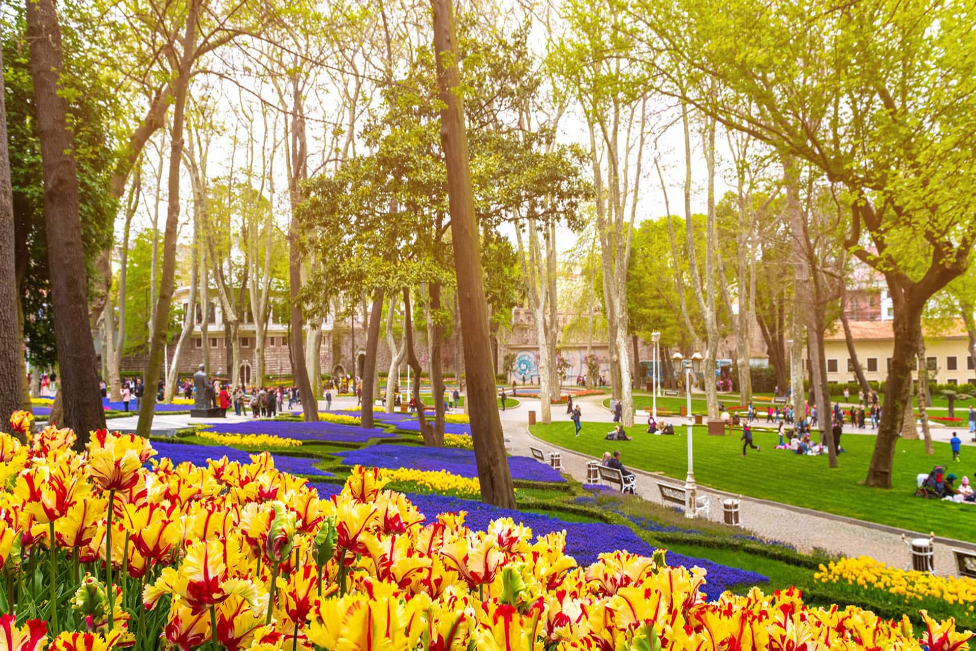 Istanbul: A City of History Culture and Beauty