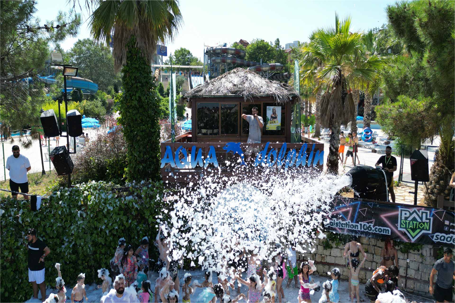 Dolphin Aquapark  An Exciting Adventure in the Heart of the Waters