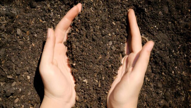 Iranian Fertilizer Exports a Gateway to Global Markets