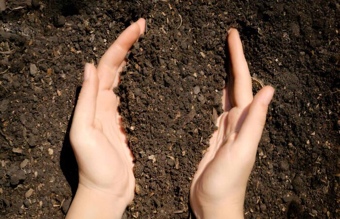 Iranian Fertilizer Exports a Gateway to Global Markets