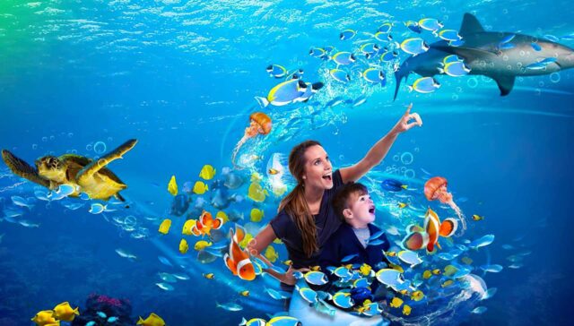 Sea Life Istanbul Aquarium A Fascinating Underwater World