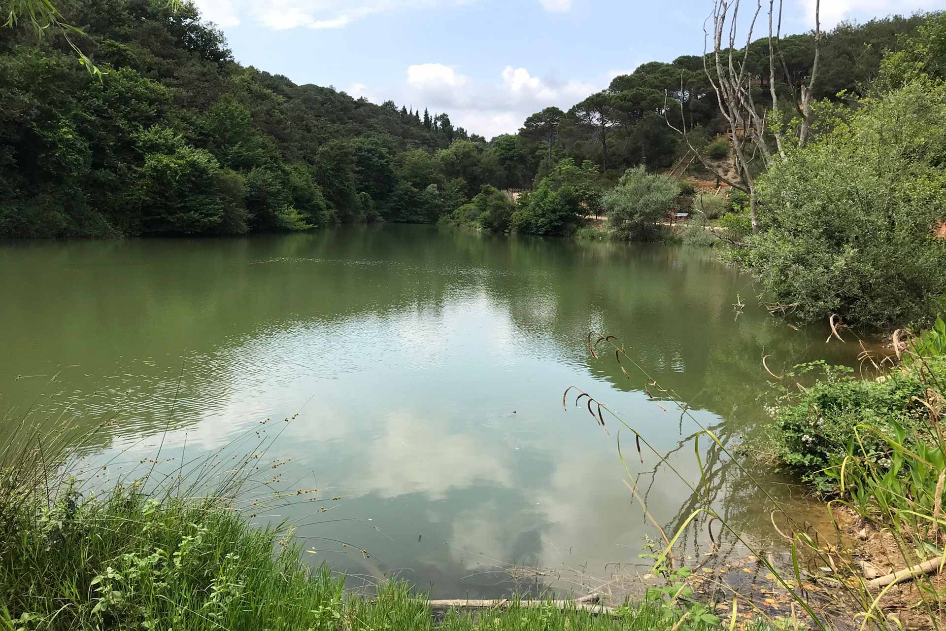 Atatürk Forest Park A Natural Paradise in Istanbul